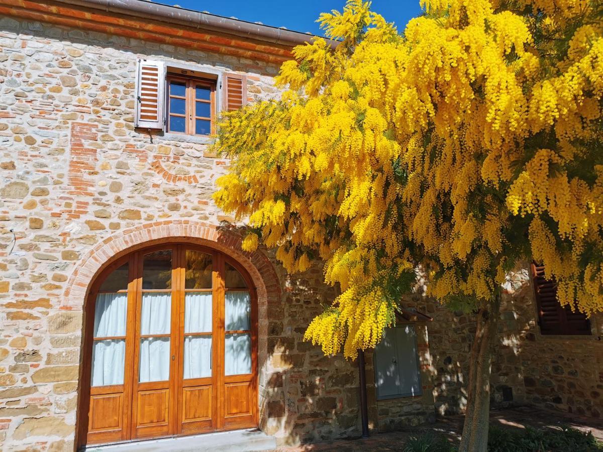 Vila Antico Borgo Frosini Arezzo Exteriér fotografie